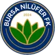 Logo of Bursa Nilüfer FK