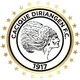 Logo of Diriangen