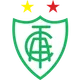 Logo of America MG (Youth)