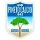 Logo of Asd Pineto Calcio
