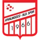 Logo of Ayvalikgucu Belediyespor