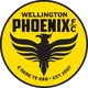 Logo of Wellington Phoenix