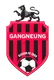 Logo of Gangneung Citizen