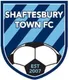 Logo of Shaftesbury Town
