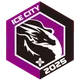 Logo of Heilongjiang Longyue Ice City