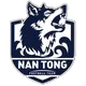 Logo of Nantong Team