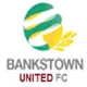 Logo of Bankstown United FC