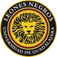 Leones Negros