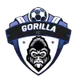 Logo of Gorilla FC