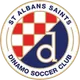 Logo of St Albans Saints