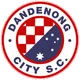 Logo of Dandenong City U21