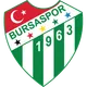 Logo of Bursaspor