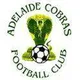 Logo of Adelaide Cobras FC