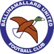 Logo of Ballinamallard United