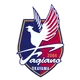 Logo of Fagiano Okayama