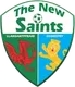 Logo of The New Saints
