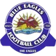 Logo of Blue Eagles
