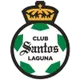 Logo of Santos Laguna (w)