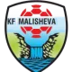 Logo of Malisheva