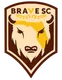 Logo of Brave SC