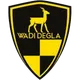 Logo of Wadi Degla SC