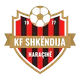 Logo of Shkendija Haracine