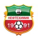 Logo of Neftekhimik Nizhnekamsk