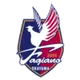 Logo of Fagiano Okayama B