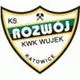 Logo of Rozwoj Katowice