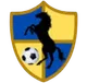 Logo of Racing United