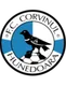 Corvinul Hunedoara