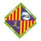 Logo of Palma Futsal
