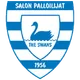 Salon Palloilijat