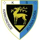 Logo of Karkonosze Jelenia Gora