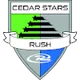 Logo of Cedar star