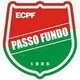 Logo of EC Passo Fundo