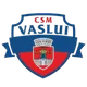 CSM Vaslui