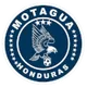 Logo of Motagua Reserves