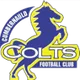 Logo of Cumbernauld Colts