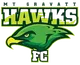Logo of Mount Gravatt Hawks