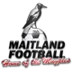 Logo of Maitland FC Reserves