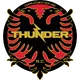 Logo of Dandenong Thunder