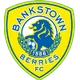 Logo of Canterbury Bankstown FC