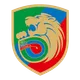 Miedz Legnica