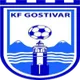 Logo of FK Rinija Gostivar