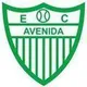 Logo of Avenida RS