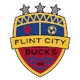 Logo of Flint City Bucks