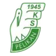 Logo of Pelikan Lowicz