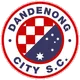 Logo of Dandenong City SC