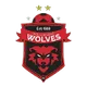 Logo of Wollongong Wolves U20